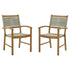 Janiyah Outdoor Dining Arm Chair (Set of 2) Ash-P407-602A
