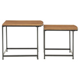 Drezmoore Nesting End Table (Set of 2) Ash-T163-16