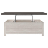 Dorrinson Coffee Table with Lift Top Ash-T287-9