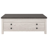 Dorrinson Coffee Table with Lift Top Ash-T287-9