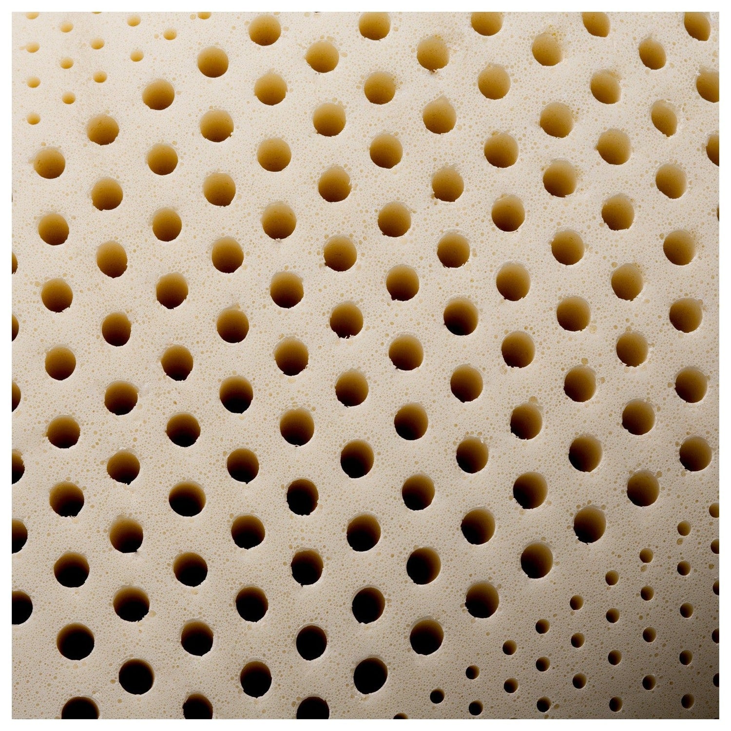 ZonedLatex_1-WB1412626964_original