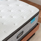 Carbon Series Medium Pillow Top - Beck&