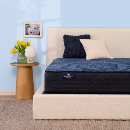 Perfect Sleeper 12&quot; Hybrid Firm Smooth Top Mattress - Beck&